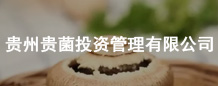 FFͶY޹˾